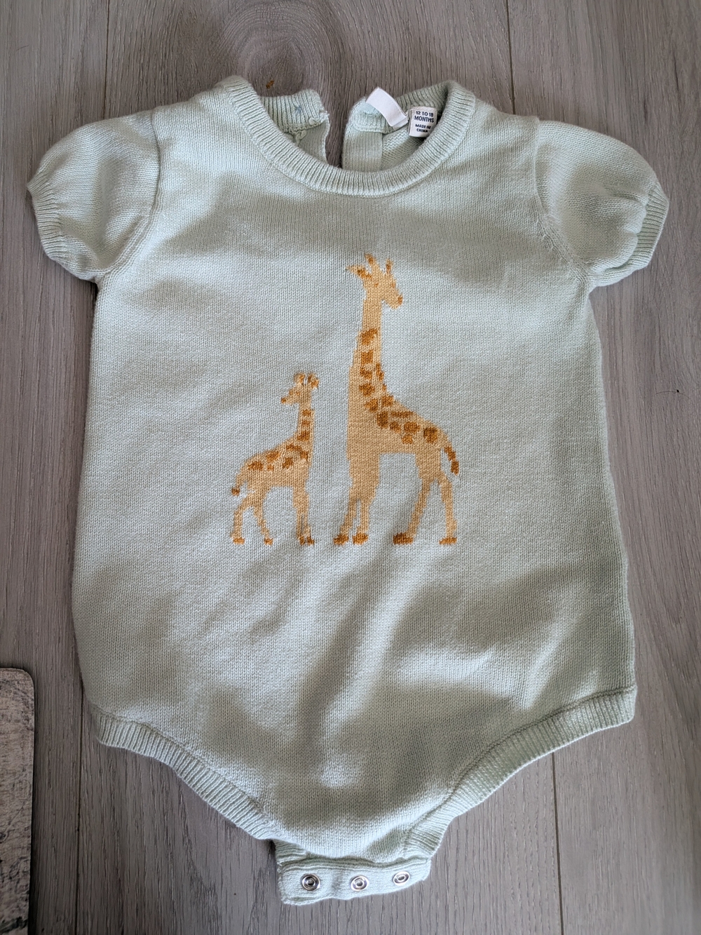 Janie and Jack Mint Knit One-Piece with Giraffe Motif
